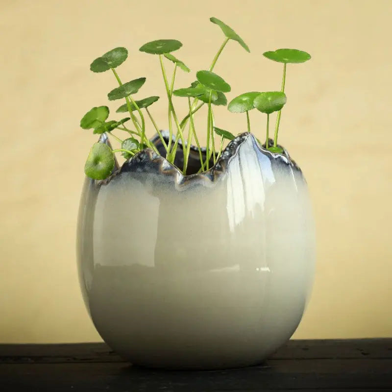 Pot fleurs céramique hydroponique – Hydrocotyle non poreux glaçure coulante Dropshipman