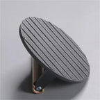 Presse viande fonte steak barbecue – Plaque pressage rond ustensile BBQ professionnel Dropshipman