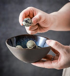 Vaisselle Céramique Transmutation – Four Rétro Assiette Ronde Dropshipman