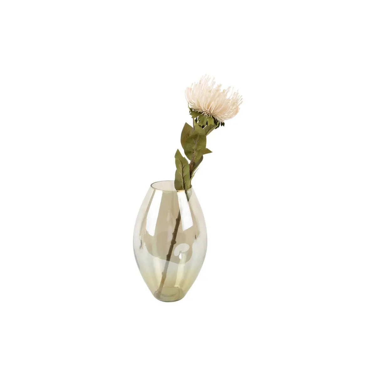 Vase Lustre Bio Present Time