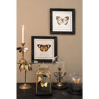 Verbe Ø 23x22 cm Brown Glass Glass Bell en verre Clayre & Eef.