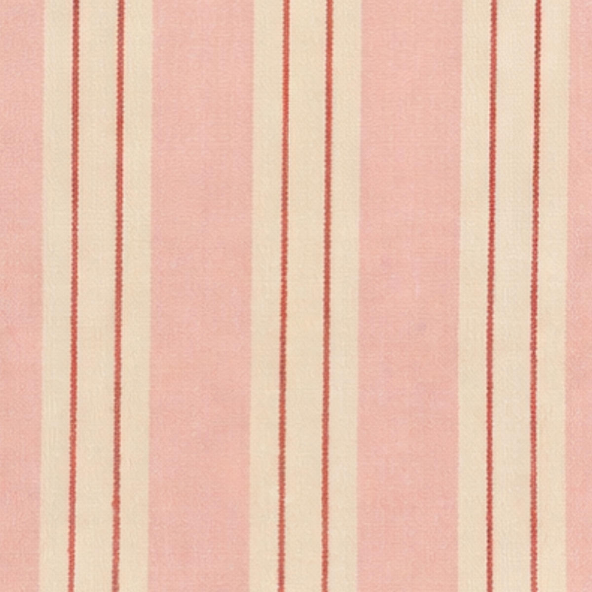 Nappe Rose